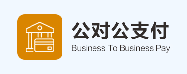 公对公支付